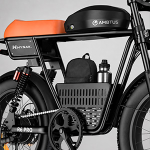 DETS-Ambtus-R6-MAX-1.jpg