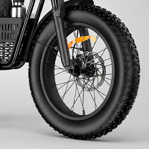 DETS-Ambtus-R6-MAX-5.jpg
