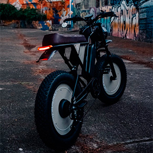 DETS-BLACKOUT-BULL-BEGE-COM-CONHAQUE-4.jpg