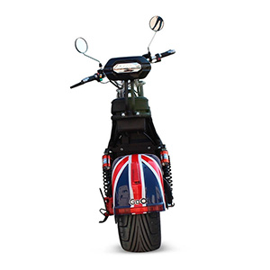 DETS-Scooter-X11-5.jpg