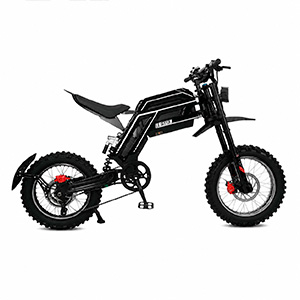 DETS GT73 (3)