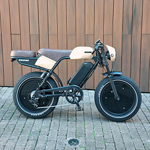 DETS CR2 Desert (1)